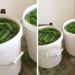 Vödrös savanyúság recept ropogós vegyes zöldségekkel